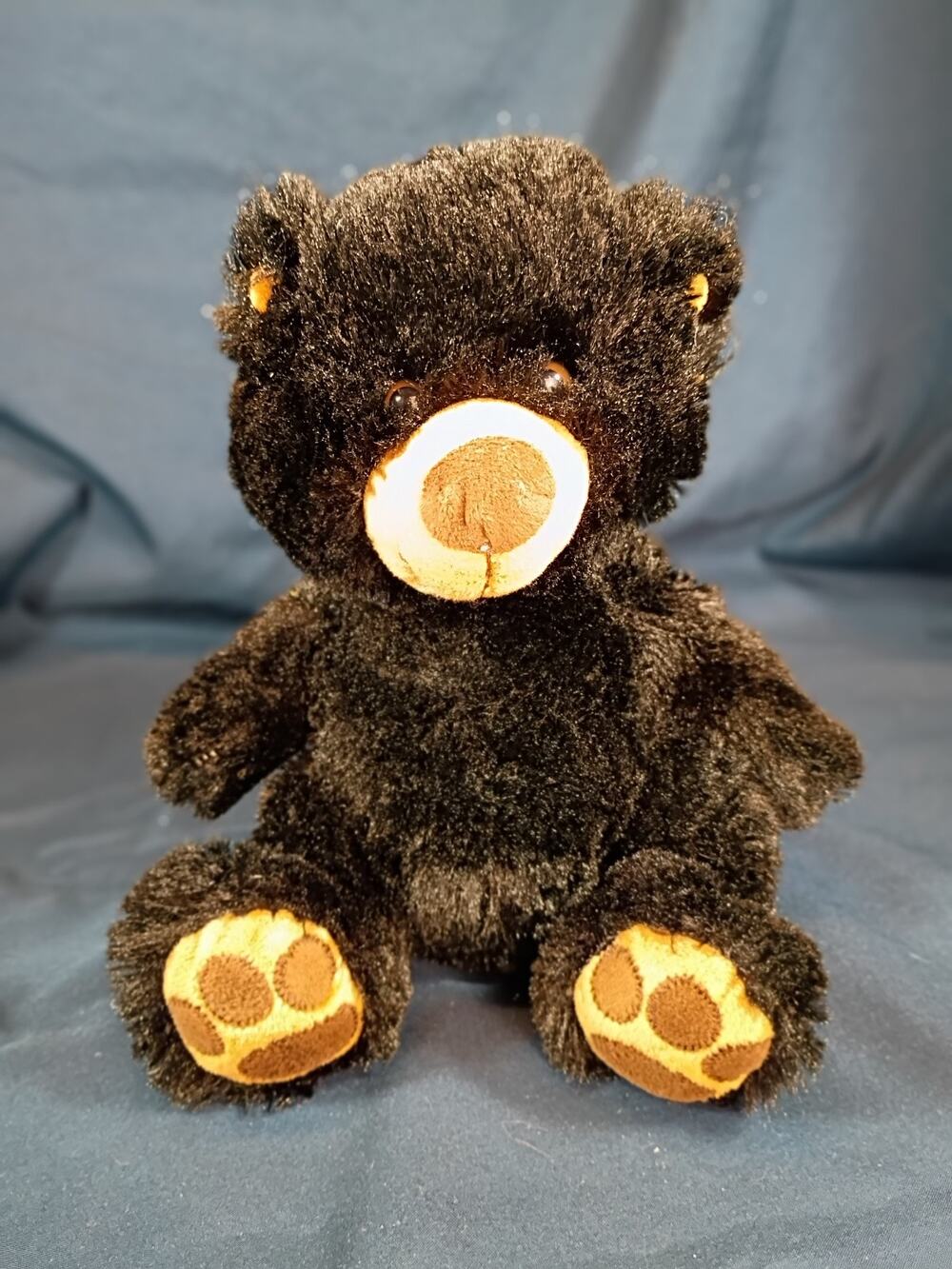 2010 Wishpets Benjamin Black Bear Plush 8" #42208 Retired Stuffed Animal
